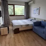 Detelina