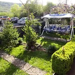 Detelina *