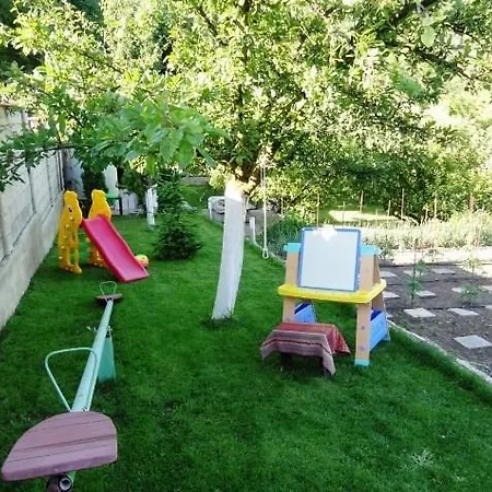 Detelina * Balcsik
