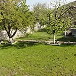 Detelina Baltsjik