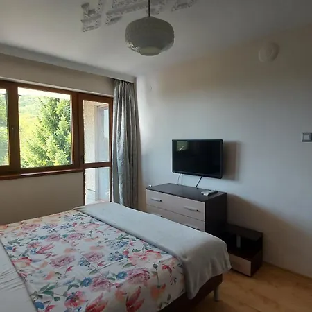 Detelina Vakantiehuis Baltsjik