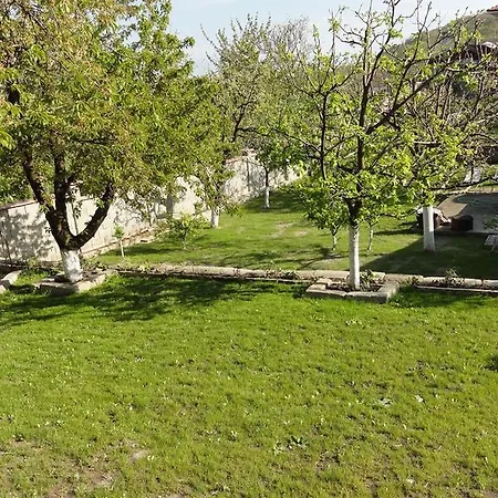Detelina Balchik